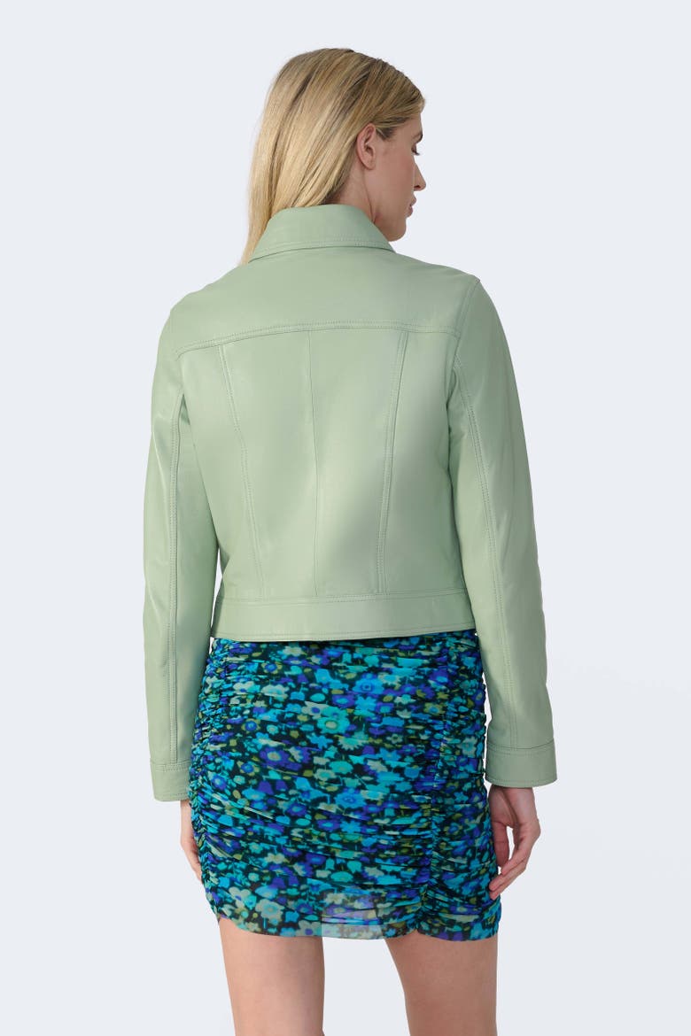 Flora Leather Jacket, Alternate, color, Light Green