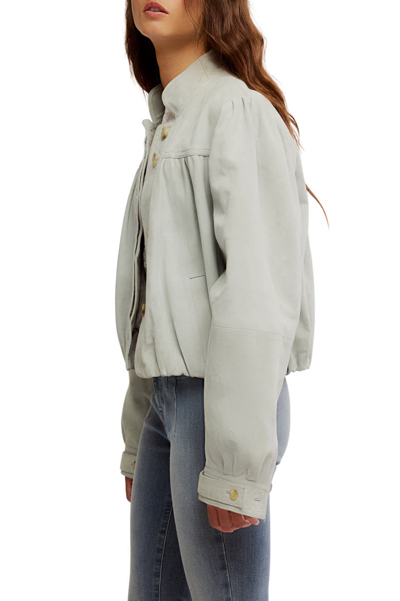 Nimbus Suede Jacket, Alternate, color, GREY/ GRIS