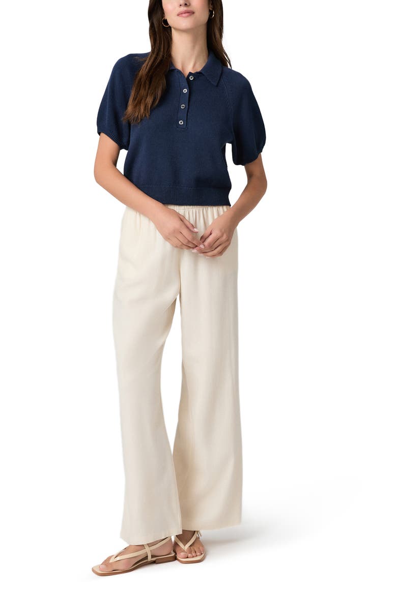 Birch Polo Sweater, Alternate, color, NAVY