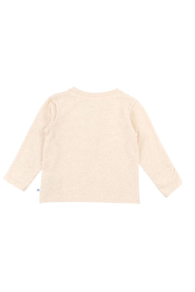 Knit Long Sleeve Henley Tee, Alternate, color, Heathered Oatmeal
