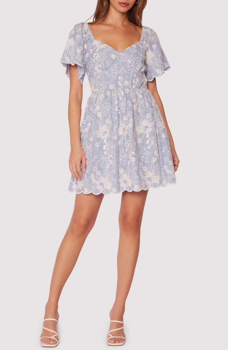 Lost + Wander Springtide Embroidered Flutter Sleeve Minidress, Main, color, 