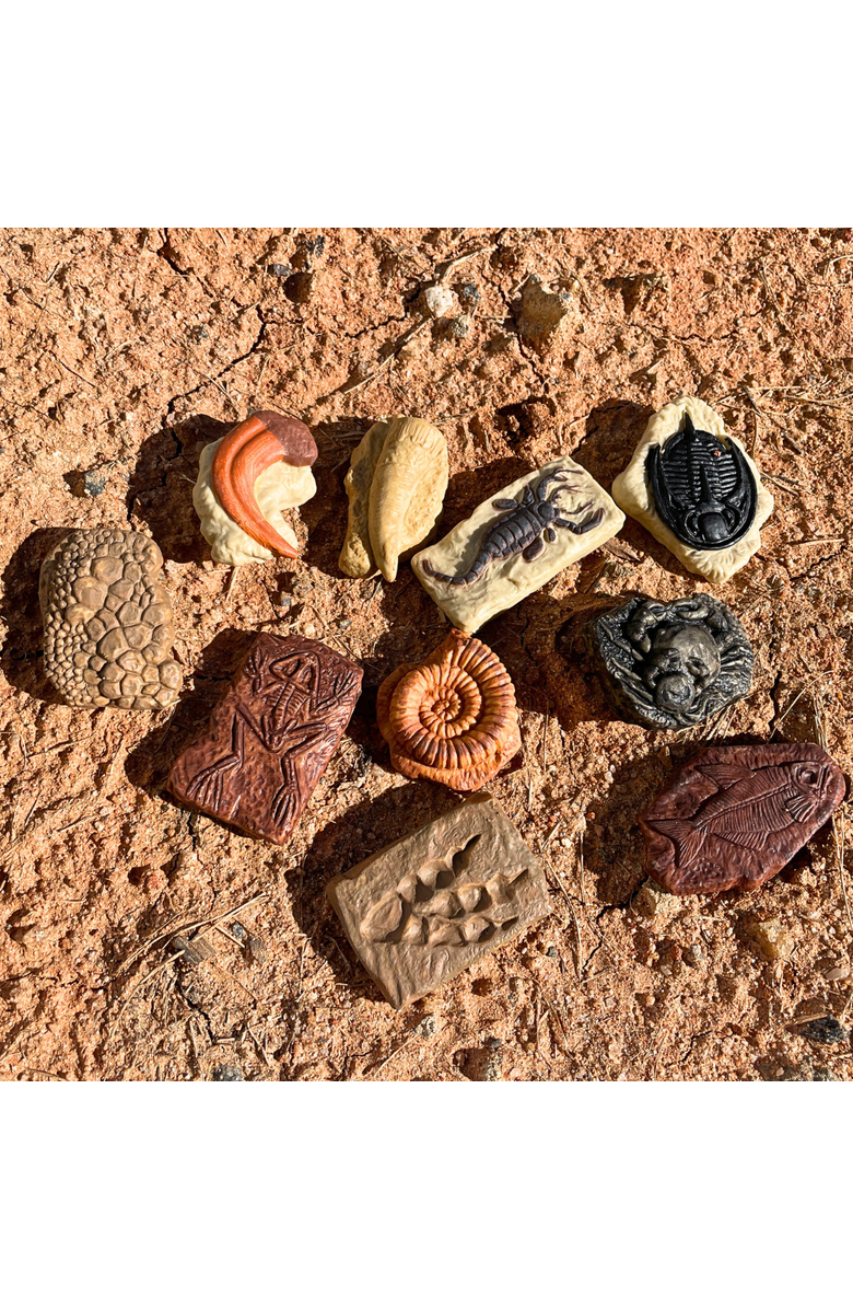 Safari Ltd. Ancient Fossils Toy, Alternate, color, NO COLOR