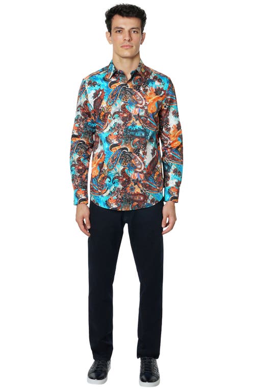 Robert Graham Molnar Long Sleeve Button Down Shirt In Multi