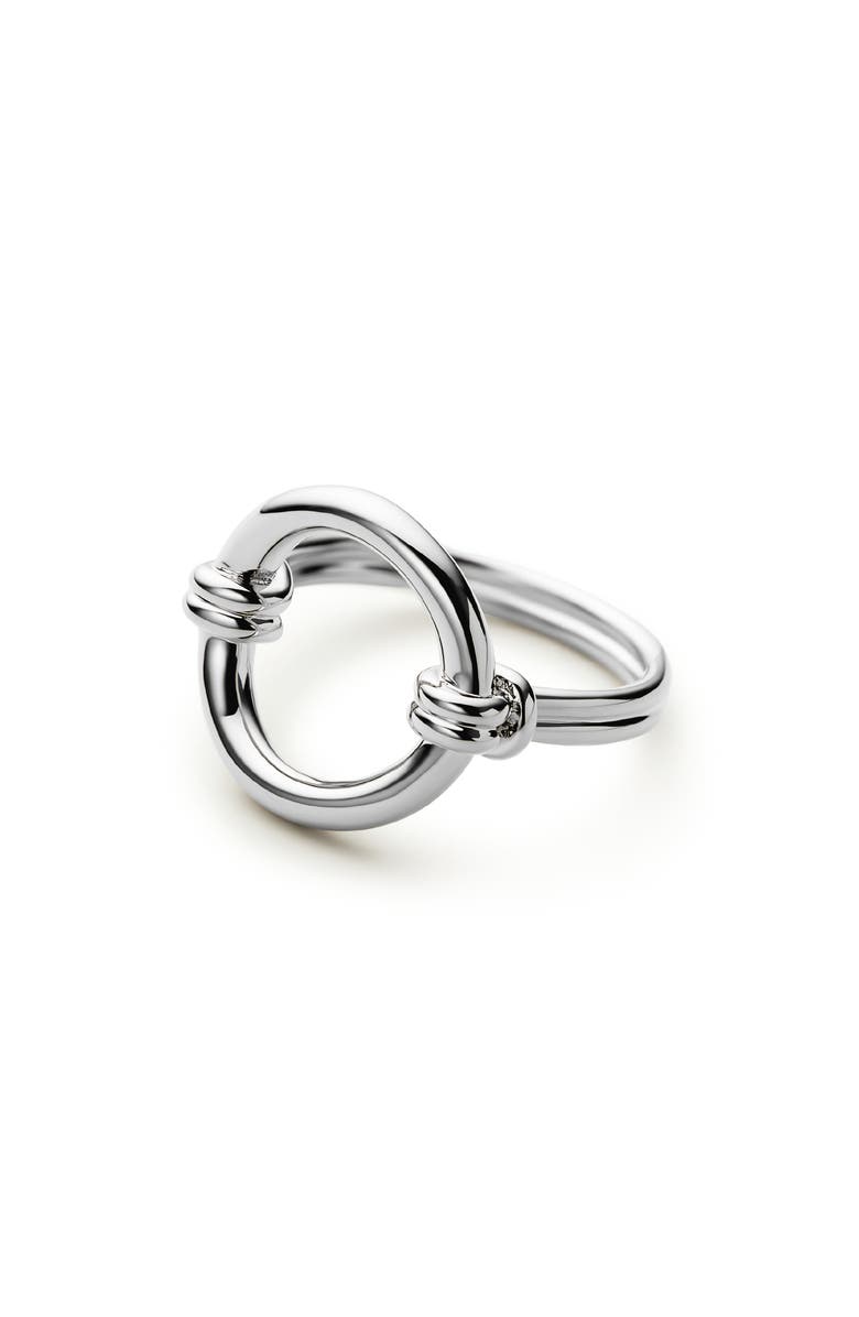 Ana Luisa Remi Statement Ring, Main, color, Silver