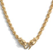 Awe Inspired Jaguar Collector Necklace