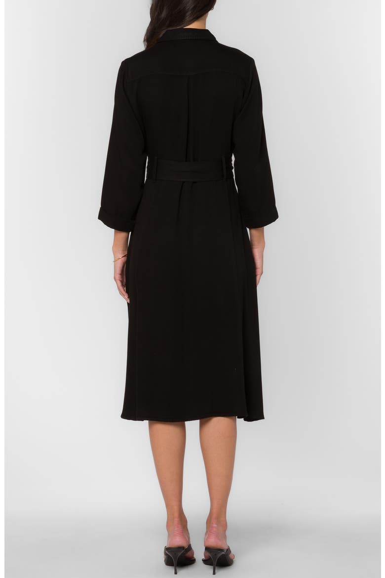 Katia Belted Long Sleeve Dress, Alternate, color, BLACK