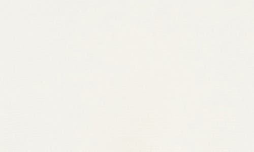 T Tahari Scallop Trim Wide Sleeve Sweater In White Star