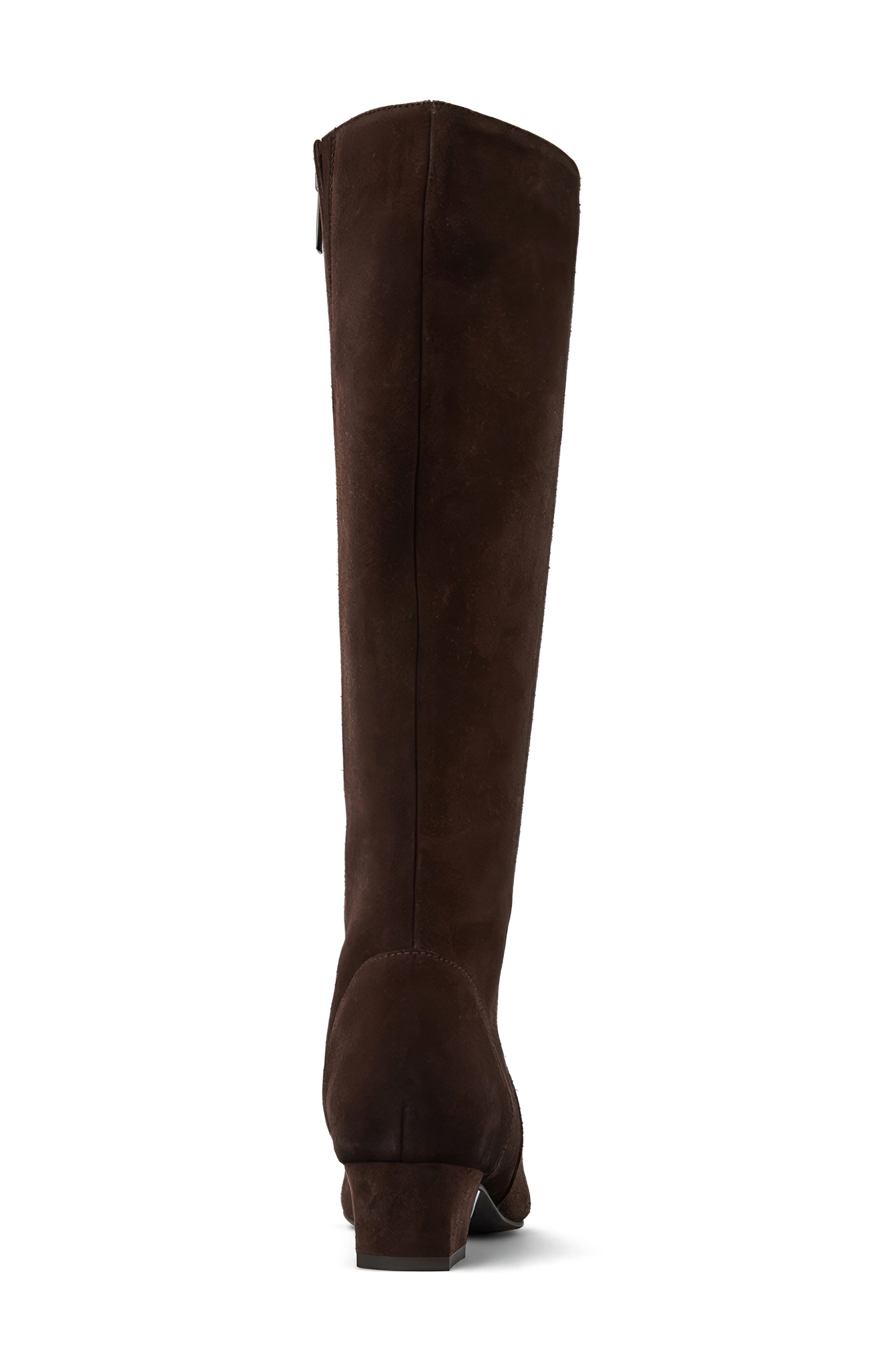 Aquatalia Serafina Weatherproof Knee High Boot, Alternate, color, Espresso Suede