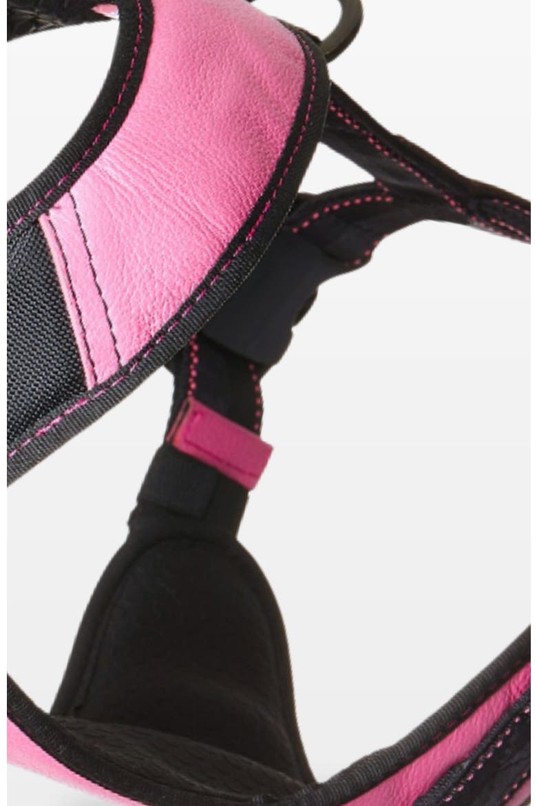 Bold Control Leather Harness, Alternate, color, Bright Pink