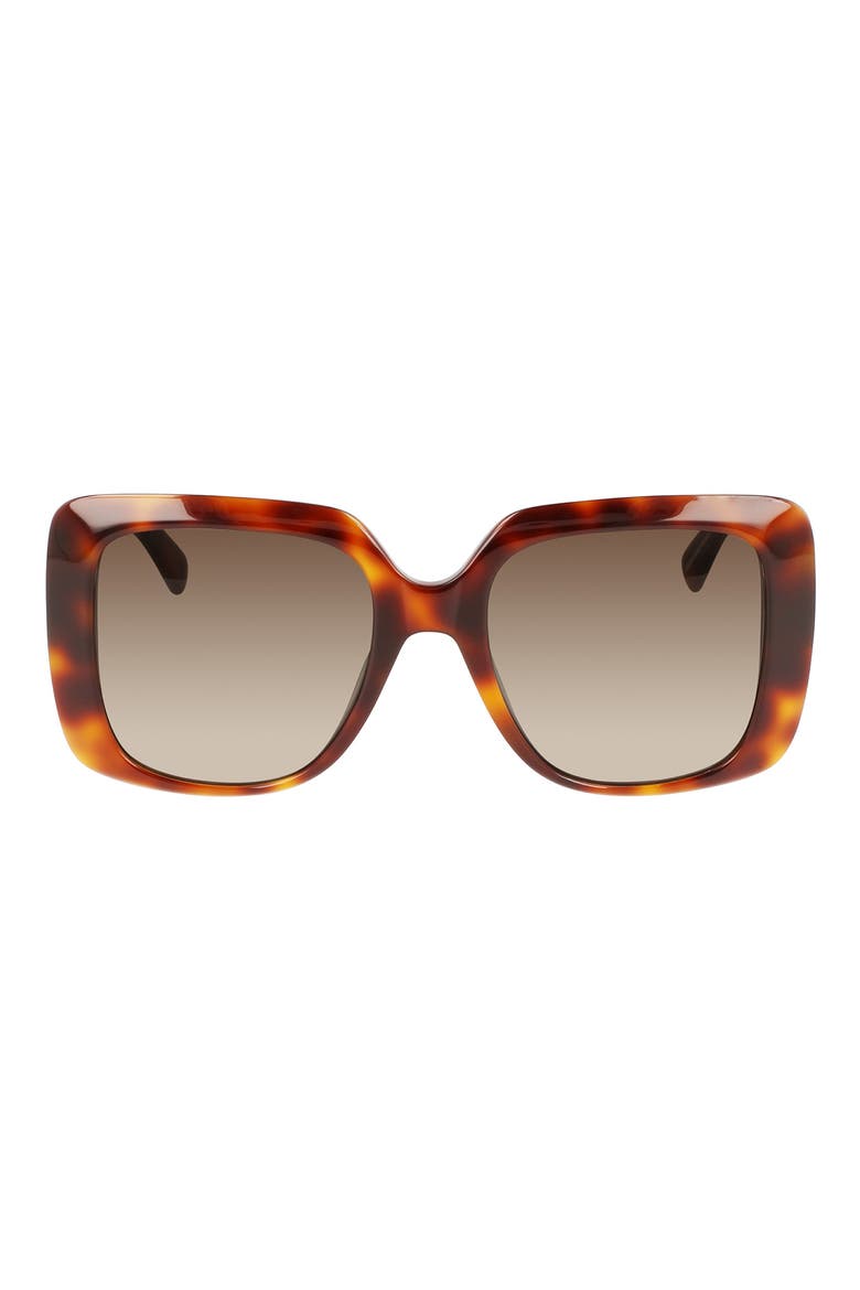 Roseau 53mm Gradient Square Sunglasses, Main, color, HAVANA