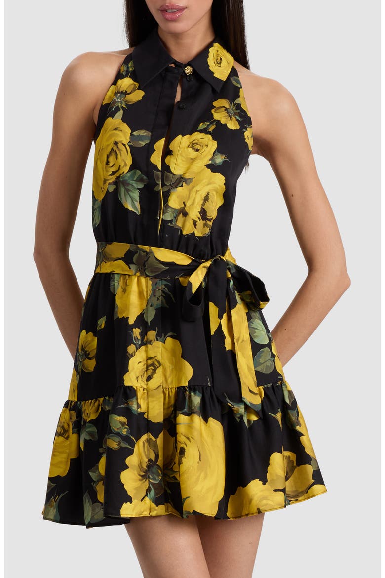 Miranda Floral Tiered Minidress, Alternate, color, ROSEHIPS