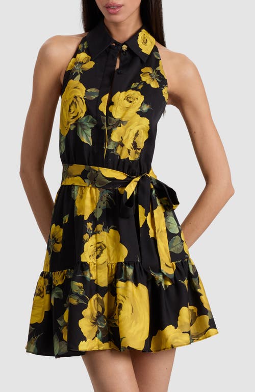 Alice And Olivia Miranda Mini Dress Rosehips In Black