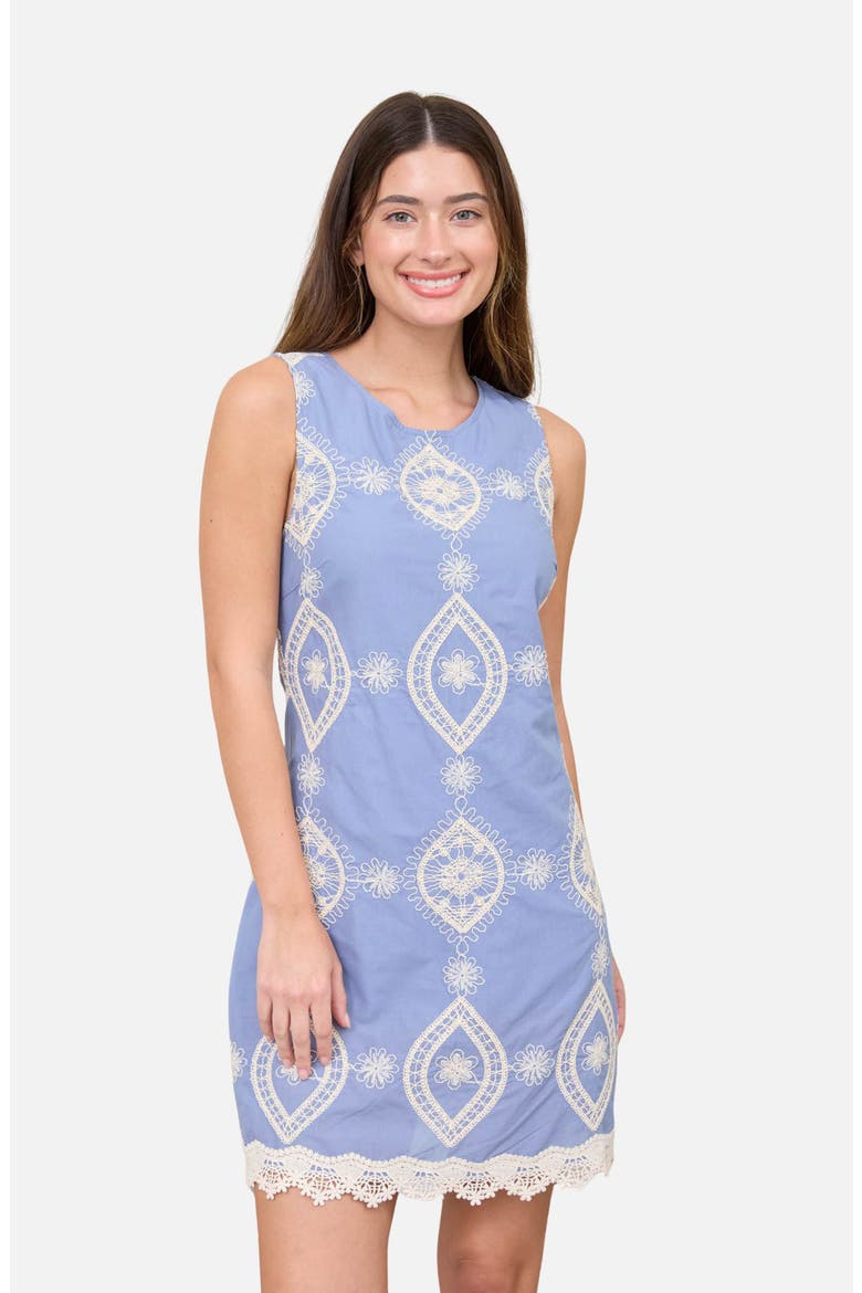 Floral Embroidered Sleeveless Cotton Minidress, Alternate, color, LIGHT DENIM