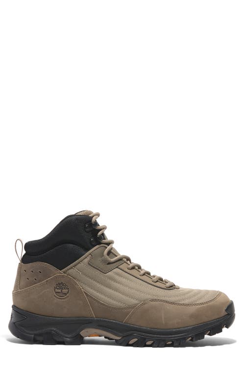 Timberland Mt. Maddsen Waterproof Hiking Boot In Medium Beige Mesh