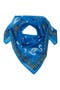  Blue Paisley