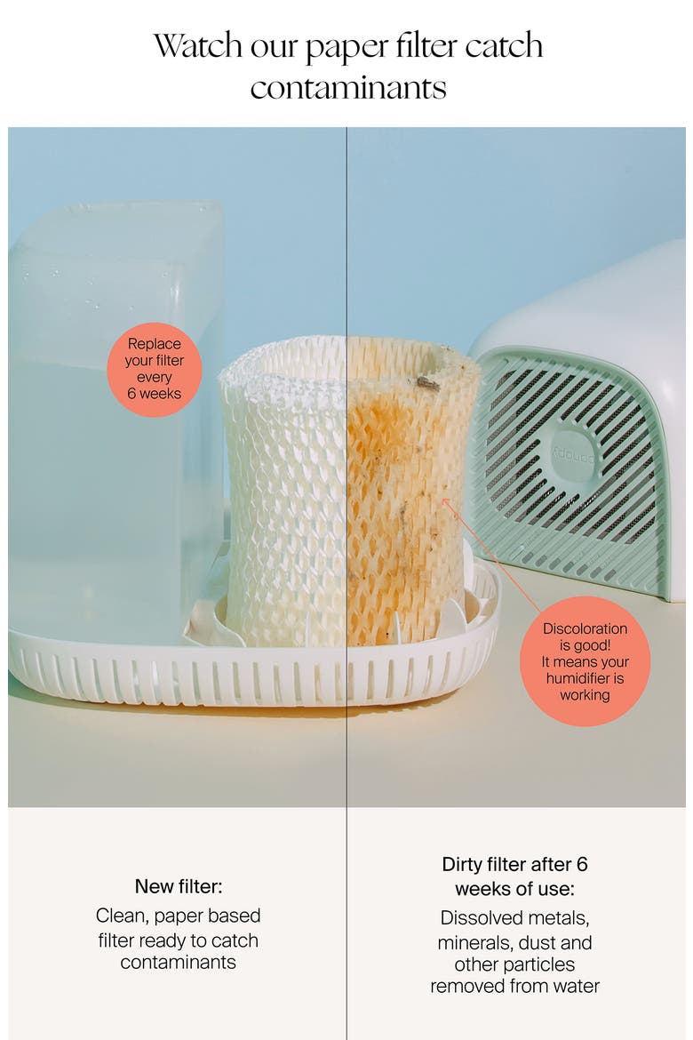 Humidifier Starter Set, Alternate, color, MOONSTRUCK