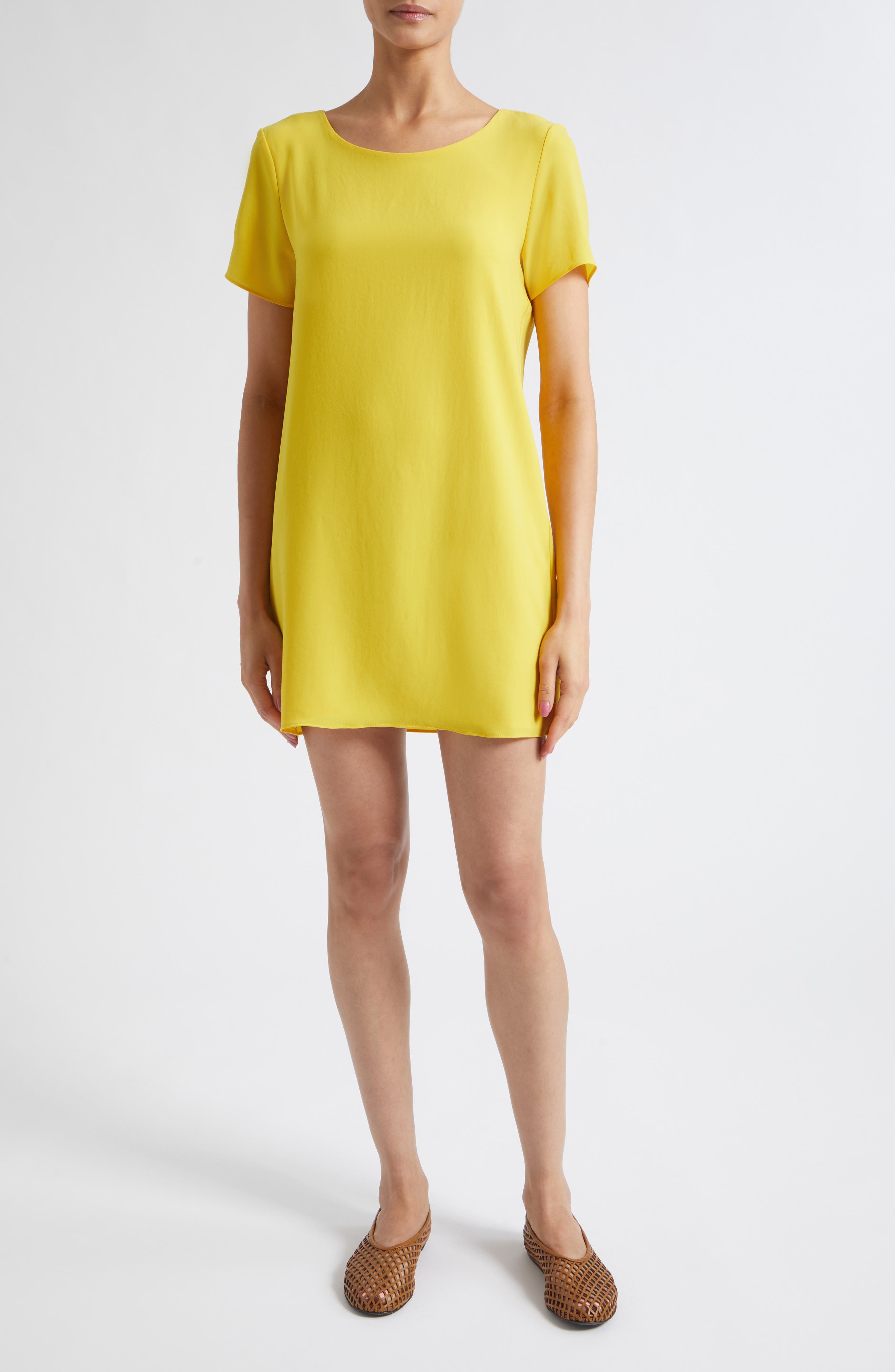 selected DAFFODIL