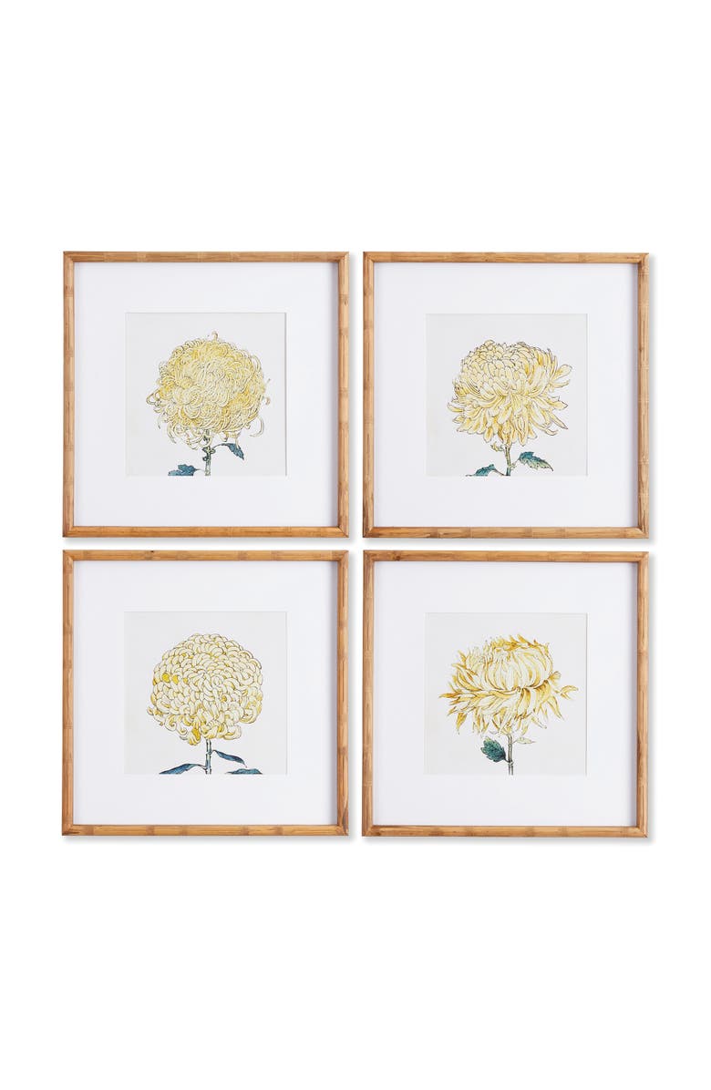 Napa Home & Garden Chrysanthemum Prints Set of 4, Main, color, 