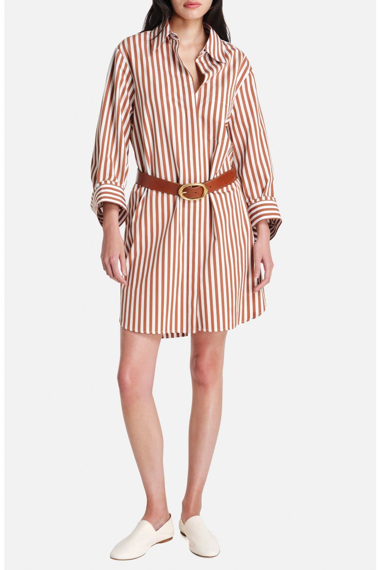 Morning After Oversize Stripe Long Sleeve Cotton Shirtdress, Alternate, color, IVORY/ COGNAC