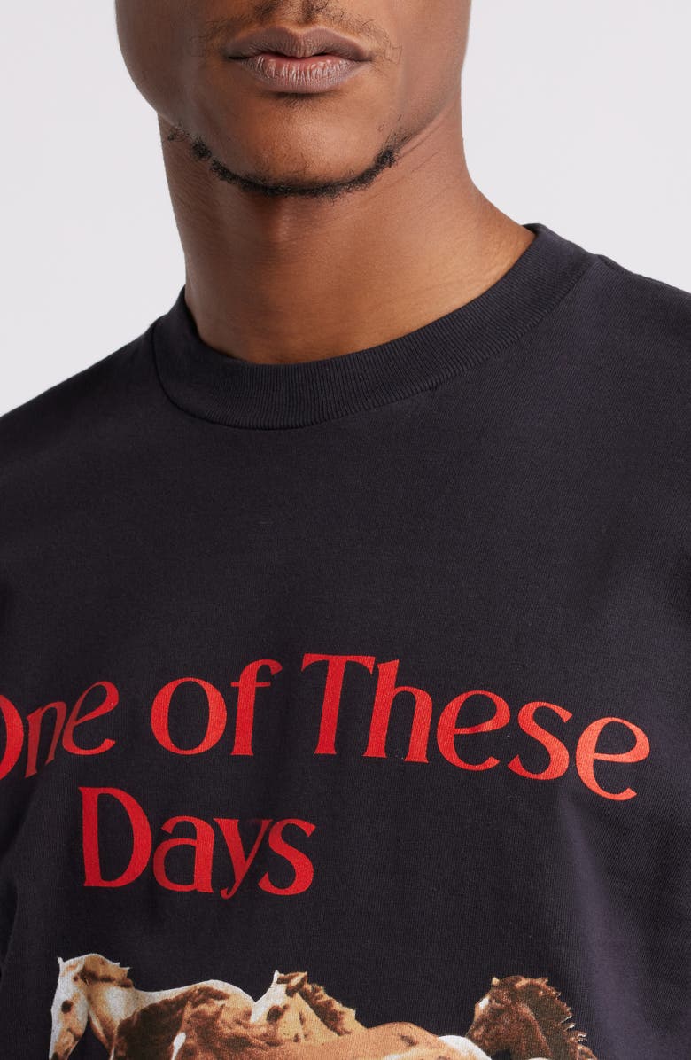 ONE OF THESE DAYS Wild Horses Cotton Graphic T-Shirt, Alternate, color, 