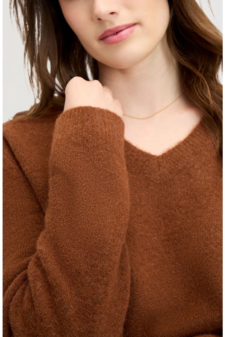Deep V-Neck High Rib Sweater, Alternate, color, WALNUT