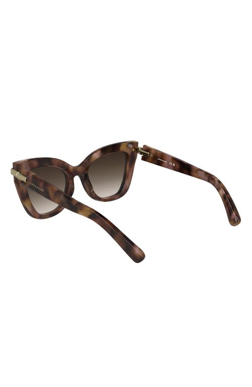 Longchamp Roseau 50mm Gradient Cat Eye Sunglasses In Rose Havana