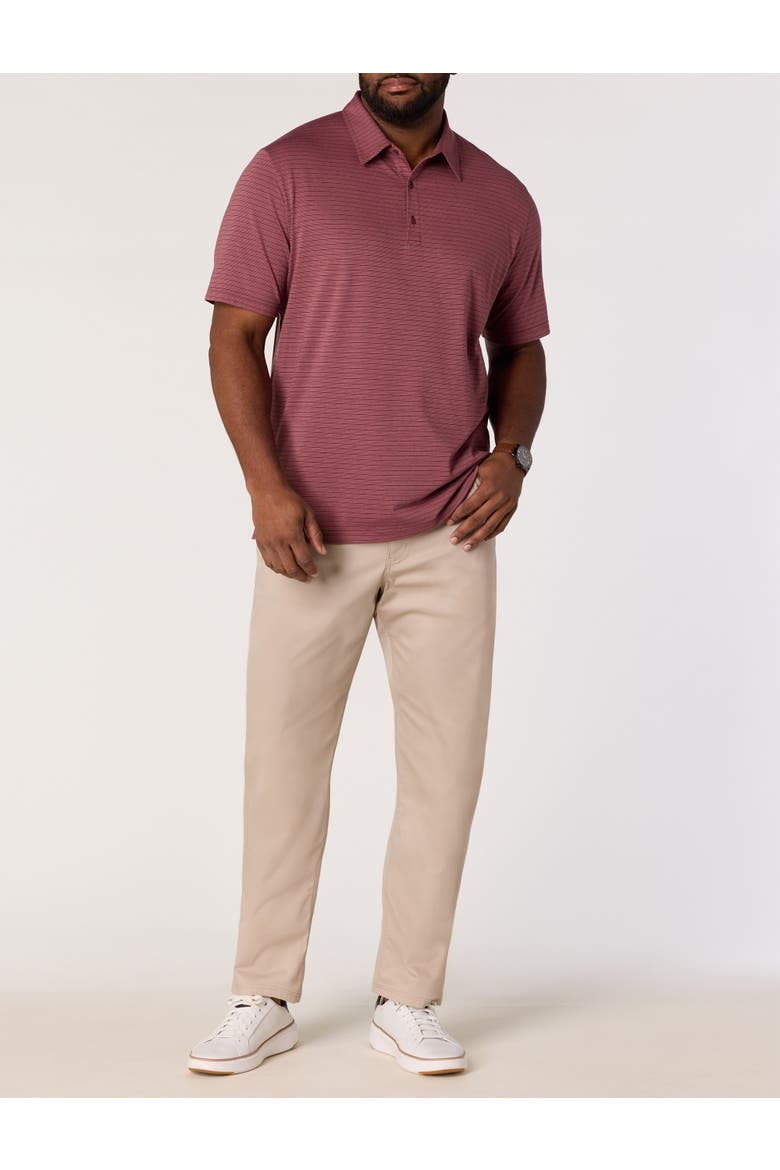 Big & Tall Striped Tech Polo Shirt, Alternate, color, WINDSOR WINE
