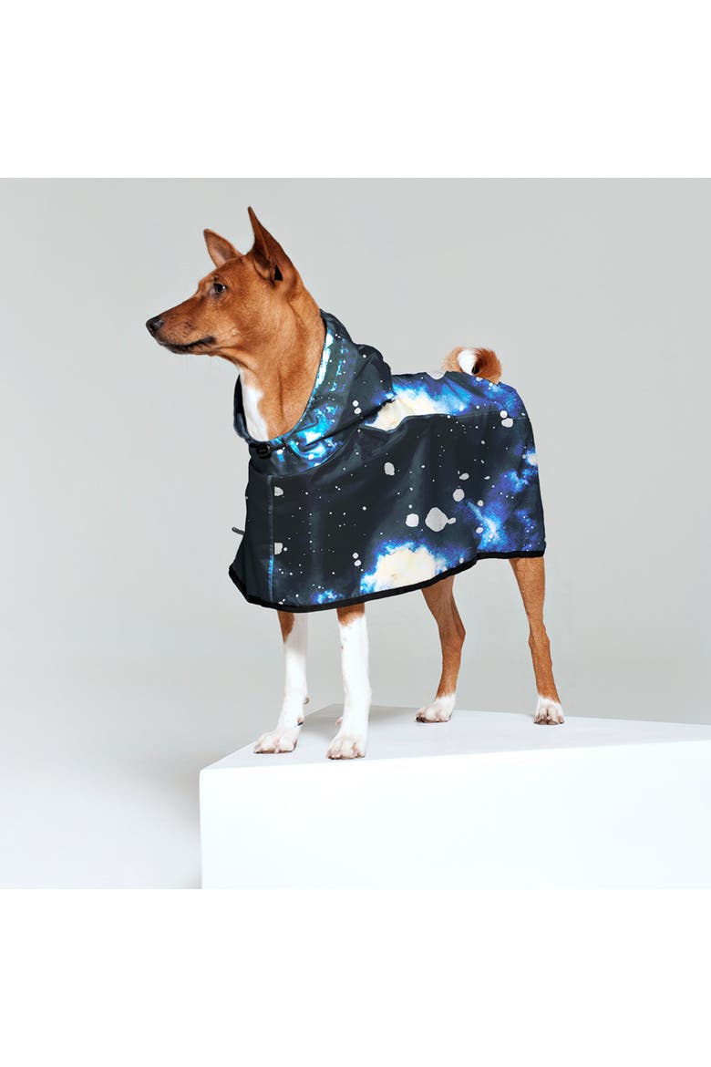 Dog Rain Poncho Starry Night, Alternate, color, Blue