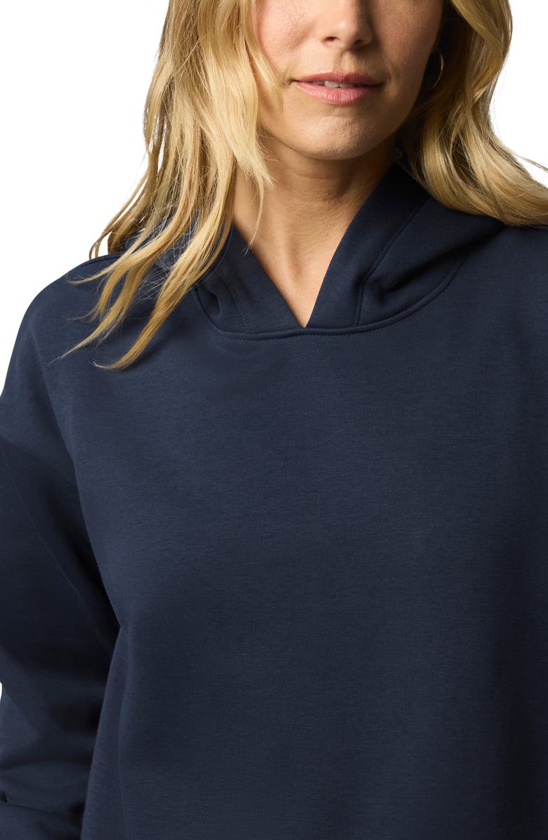 Splendid Goldie Hoodie, Alternate, color, Navy Blue