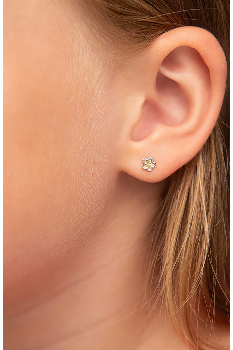 14k Two Tone Flower Earrings, Alternate, color, Gold