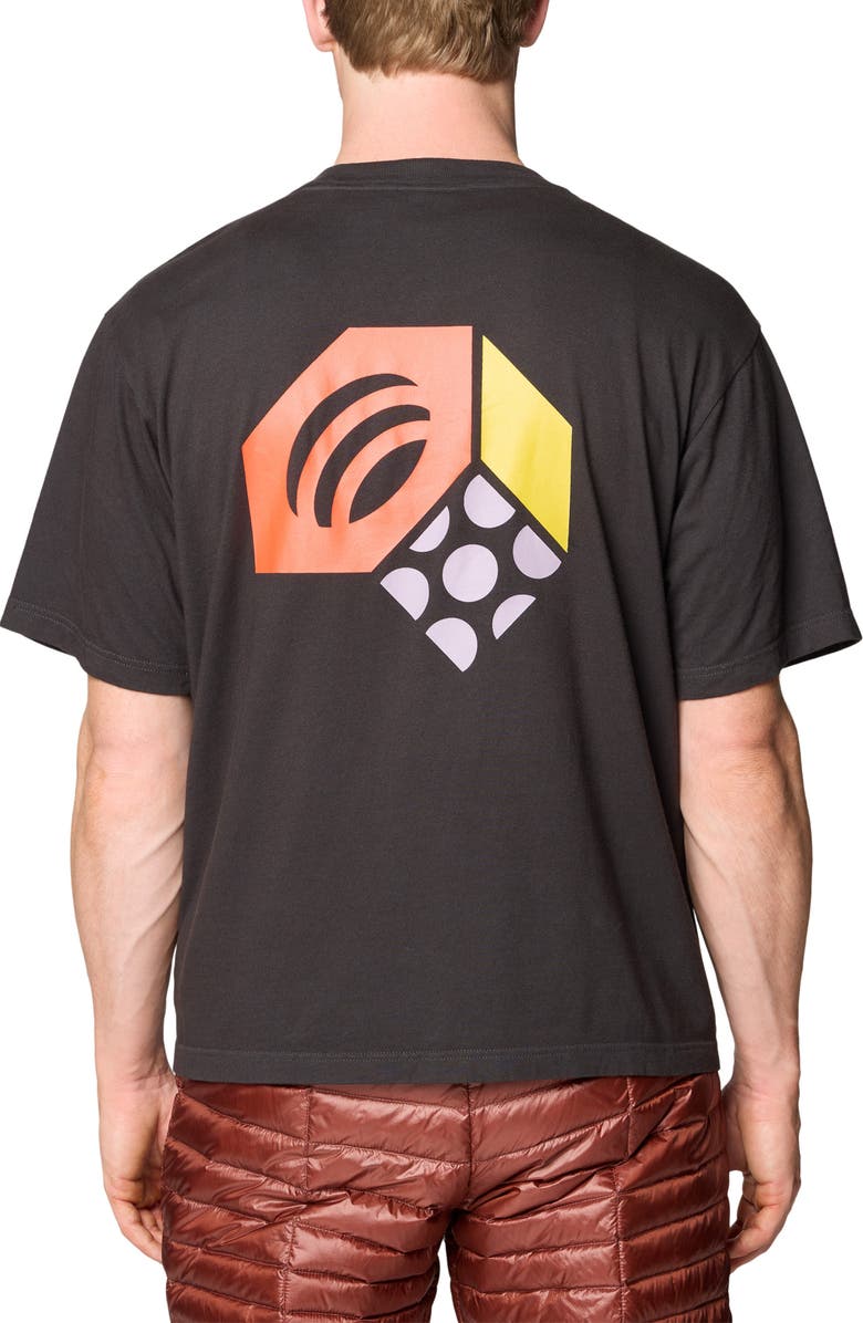 Mountain Hardwear MHW Tri-Color Graphic T-shirt, Alternate, color, Stealth Grey