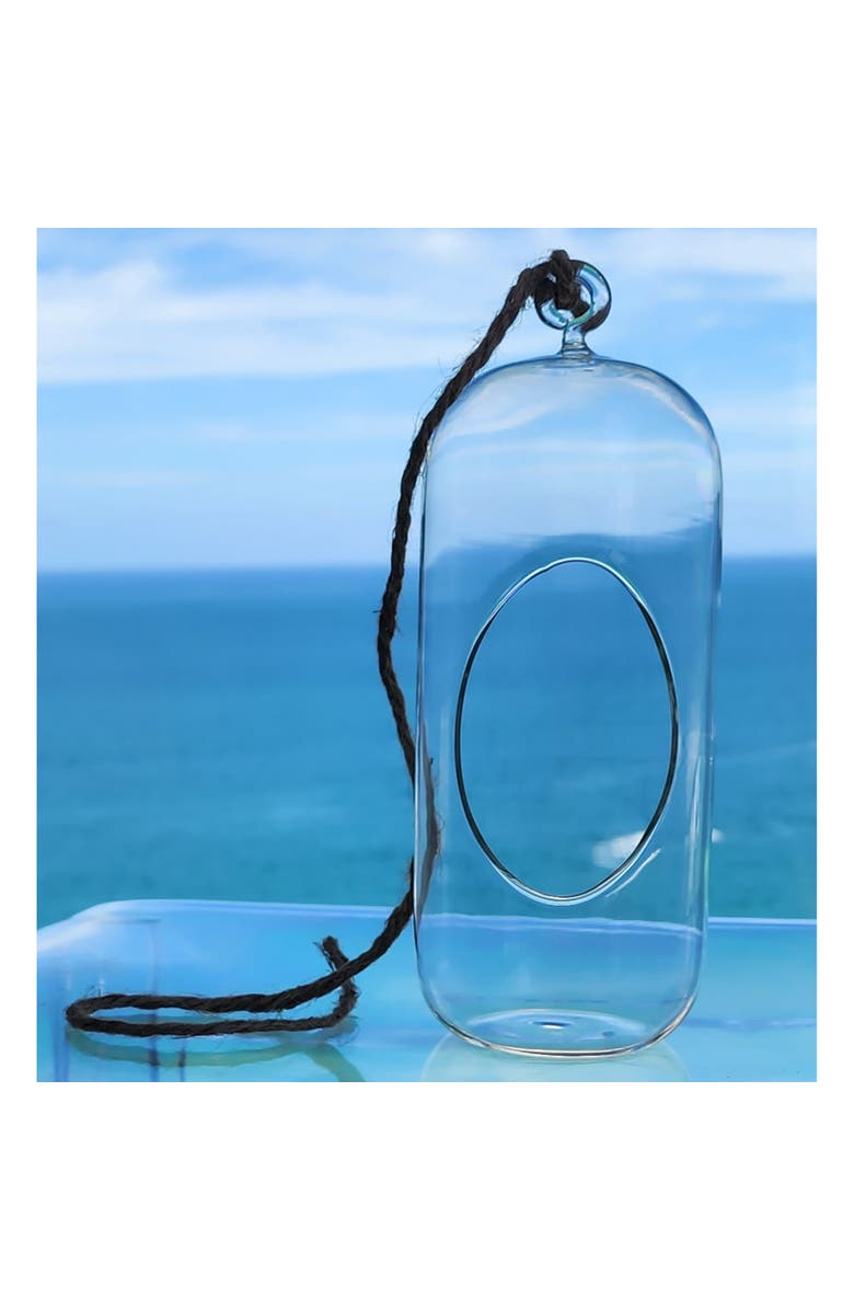 Unique Gardener Carefree Capsule Glass Terrarium, 2 Pack, Alternate, color, Clear