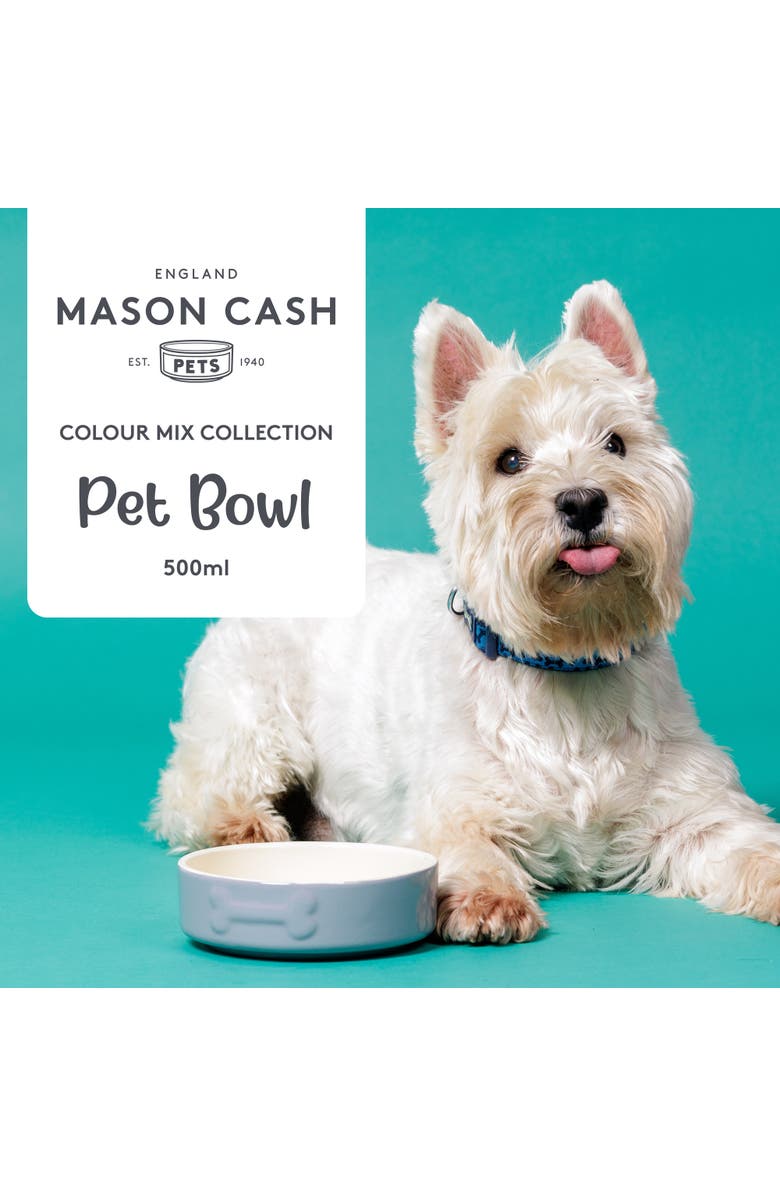 MASON CASH Embossed 17oz Bone Dog Food and Water Bowl, Alternate, color,