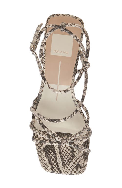 Dolce Vita Bev Heels Black White Embossed Snake In Black/white Emboss