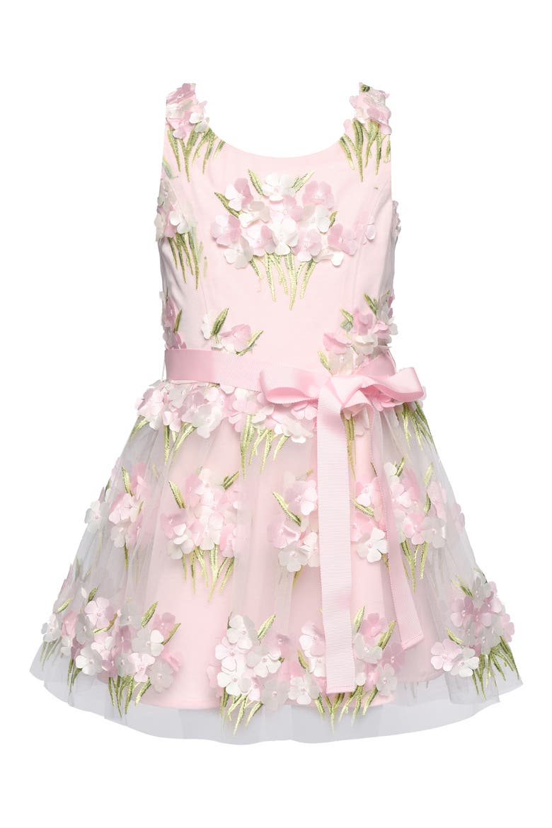Kids' Embroidered Party Dress, Main, color, PINK MULTI