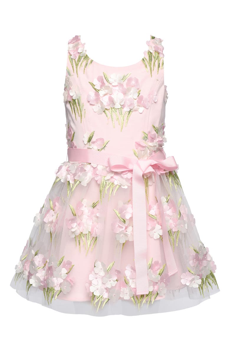 Truly Me Kids' Embroidered Party Dress, Main, color, Pink Multi