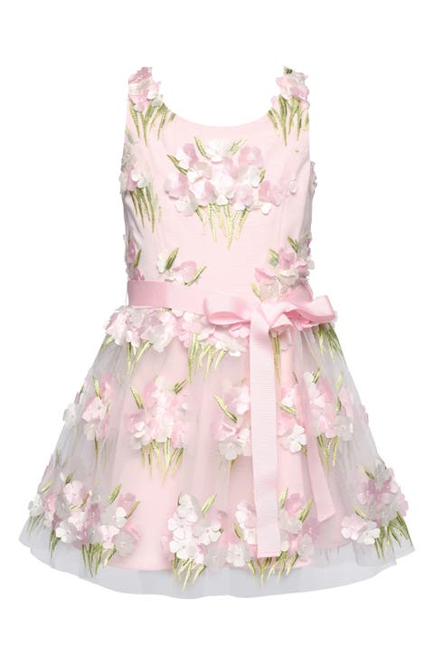 Kids' Embroidered Party Dress (Little Kid)