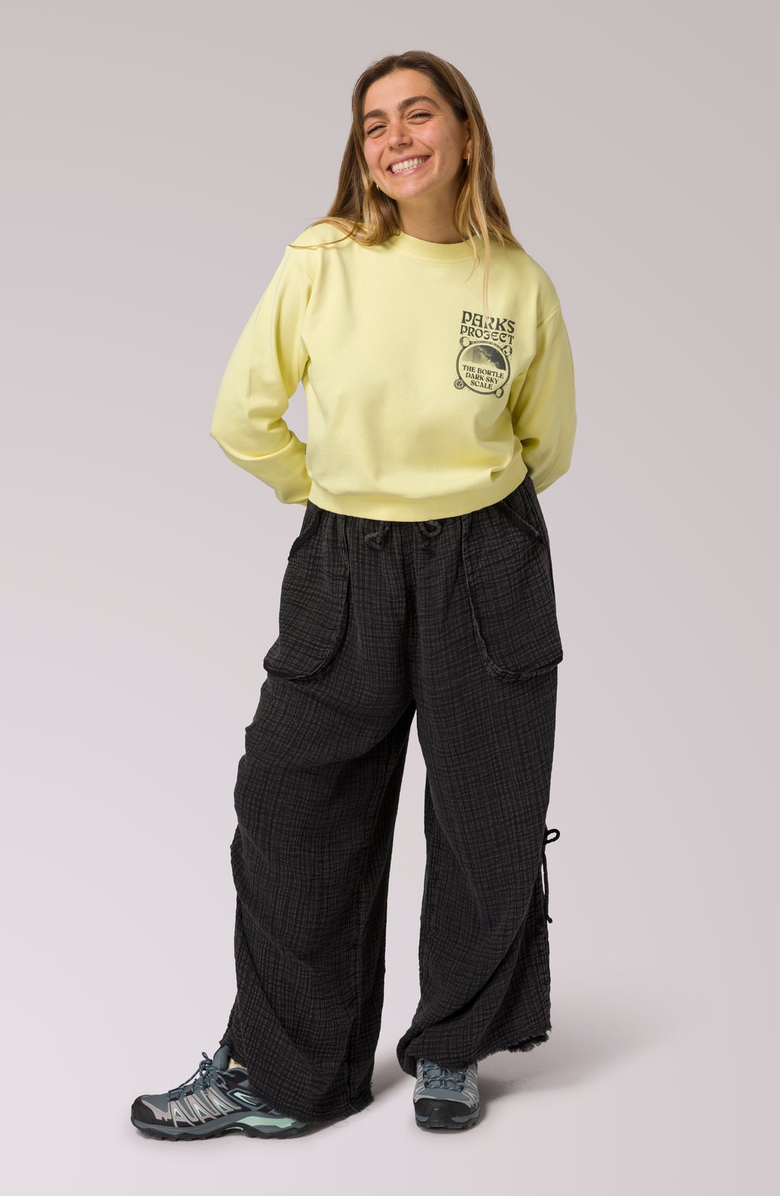 Parks Project Dark Sky Scale Cropped Crewneck, Alternate, color, Light Yellow