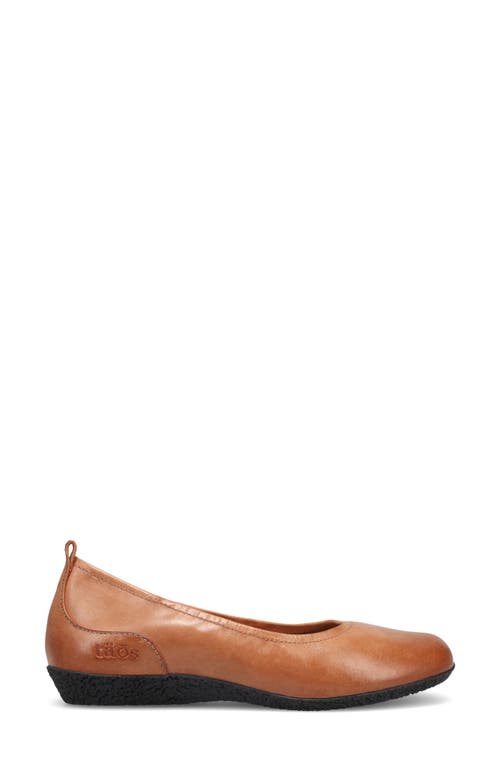 Taos Chit Chat Ballet Flat In Brown