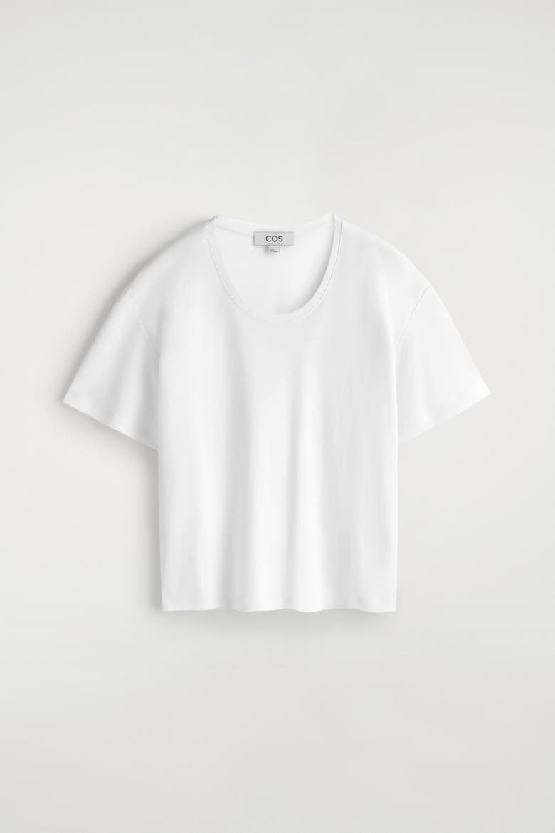 Scoop-Neck Cotton T-Shirt, Alternate, color, WHITE