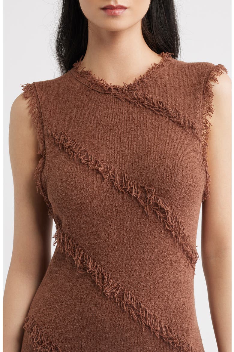Claudia Fringed Sleeveless Maxi Dress, Alternate, color, CINNAMON