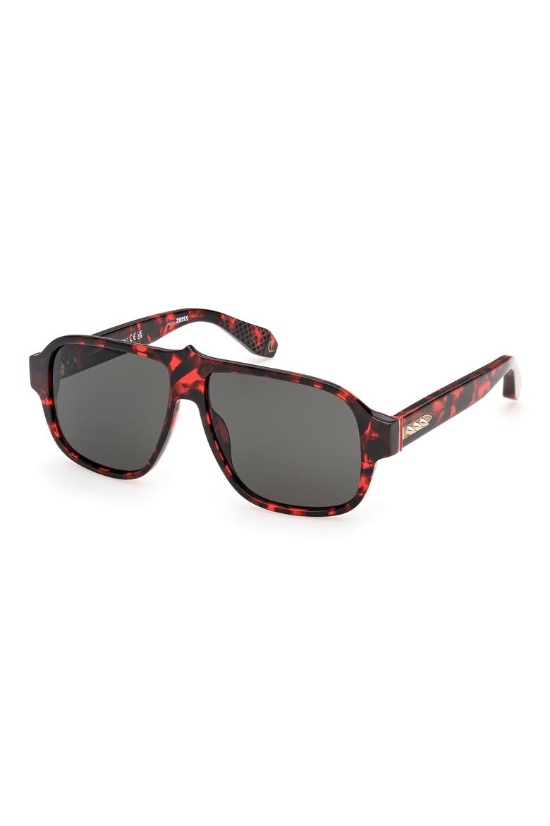 59mm Navigator Sunglasses, Alternate, color, RED HAVANA / GOLD / ZEISS