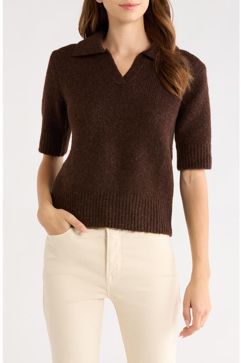 Shiloh Polo Sweater, Main, color, CHOCOLATE