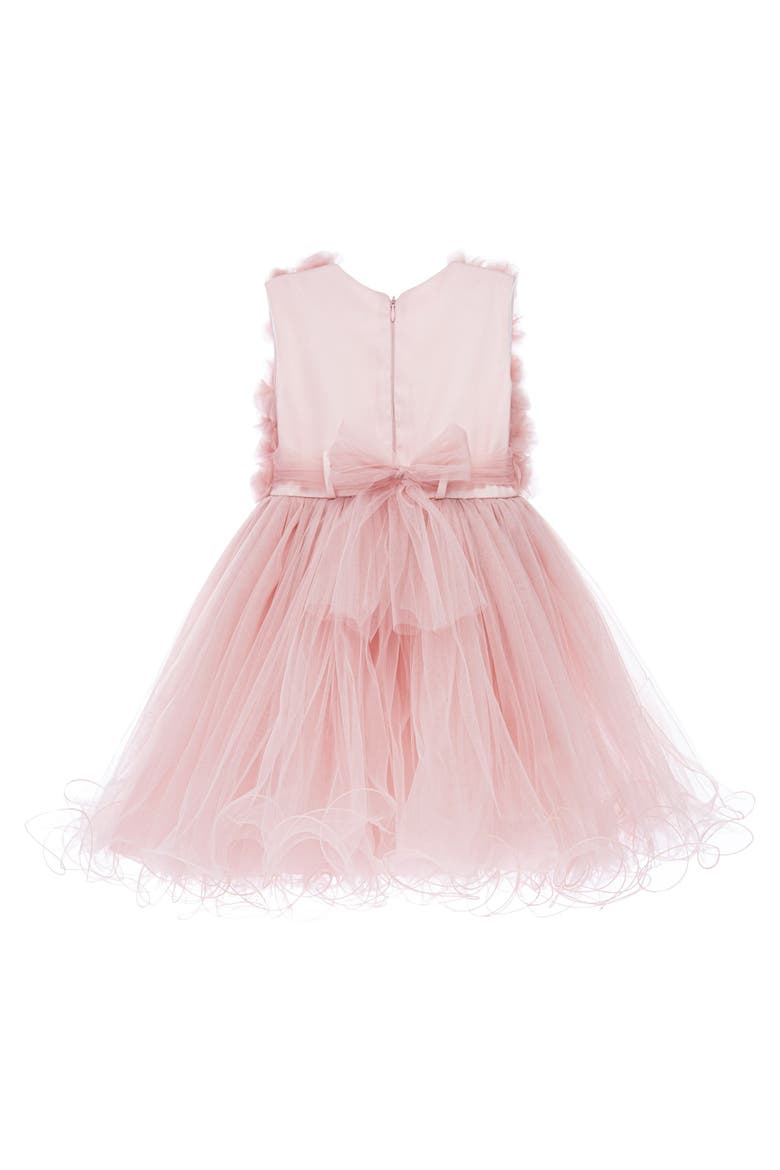 Cambriana Dress, Alternate, color, Pink