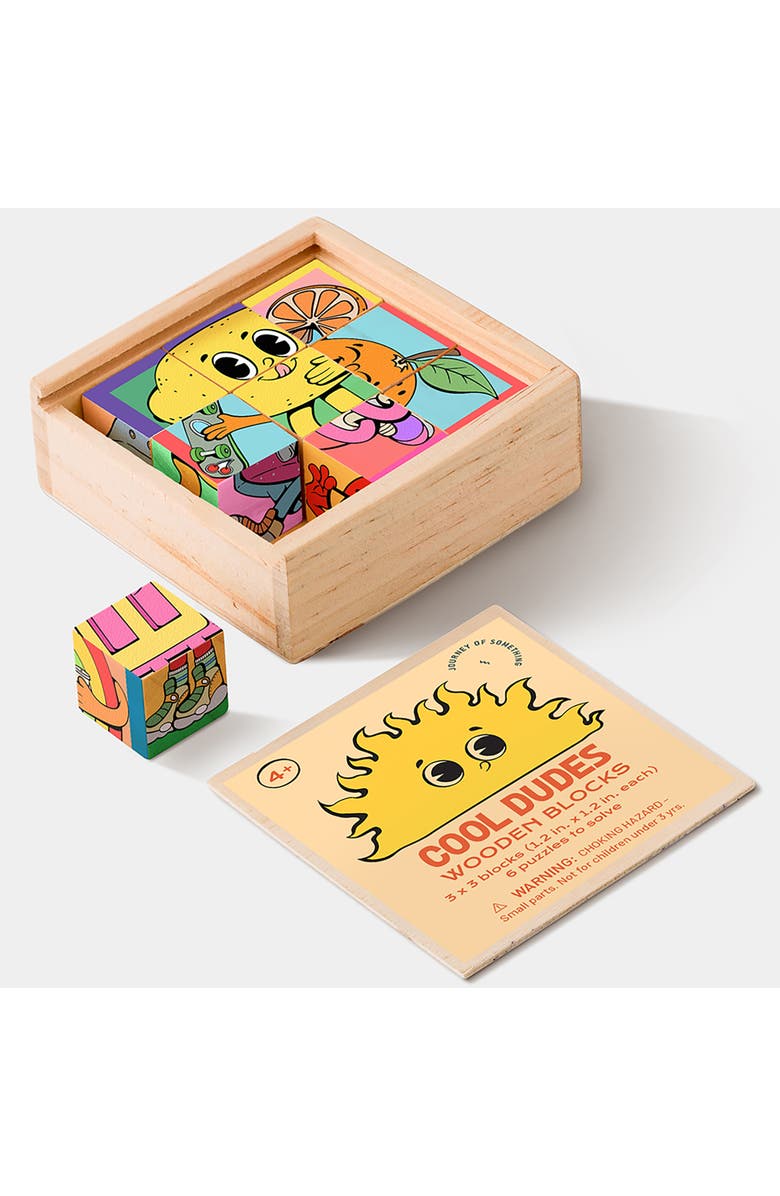 Journey of Something Cool Dudes Wooden Blocks, 6 Puzzles To Solve, 1.2 x 1.2 Inches, Alternate, color, Multicolored