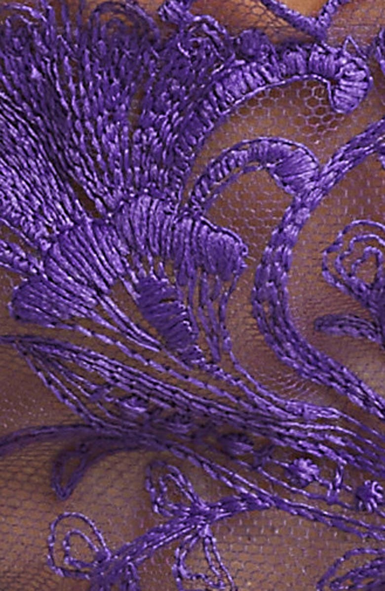 Bluebella Marseille Embroidered Mesh Briefs, Alternate, color, 