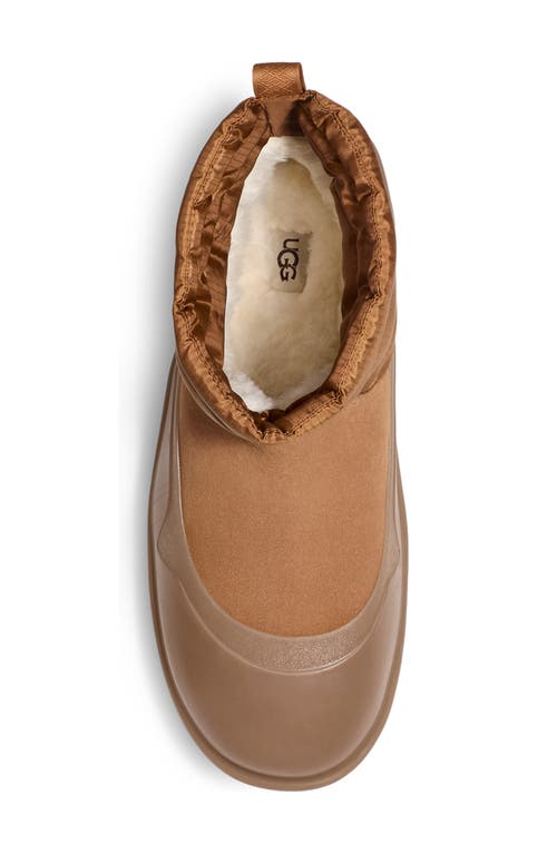 Ugg ® Classic Minimod Waterproof Wool Boot In Chestnut