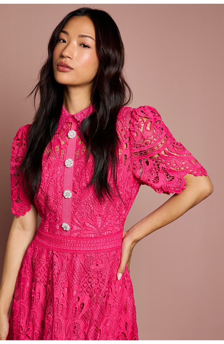 Coast Short Sleeve Collared Lace Midi Dress, Alternate, color, Raspberry