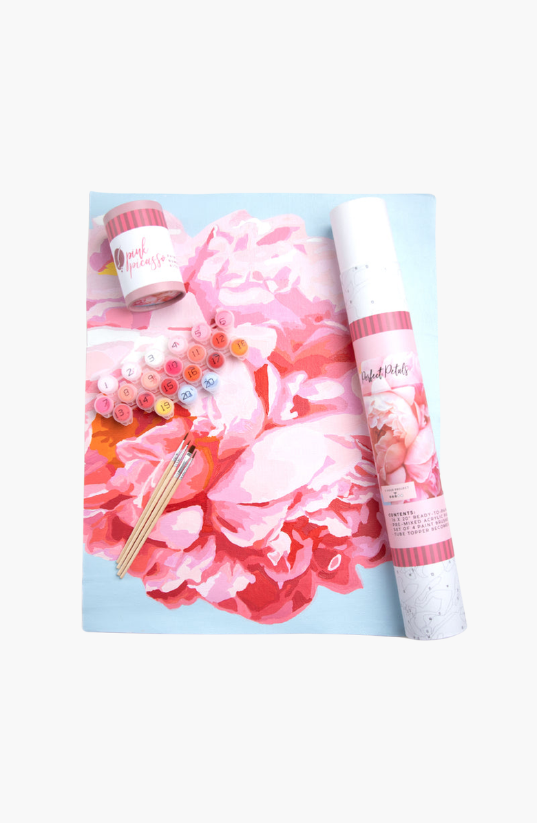 Pink Picasso Kits Perfect Petals Paint by Numbers Kit, Main, color, Pink / Coral