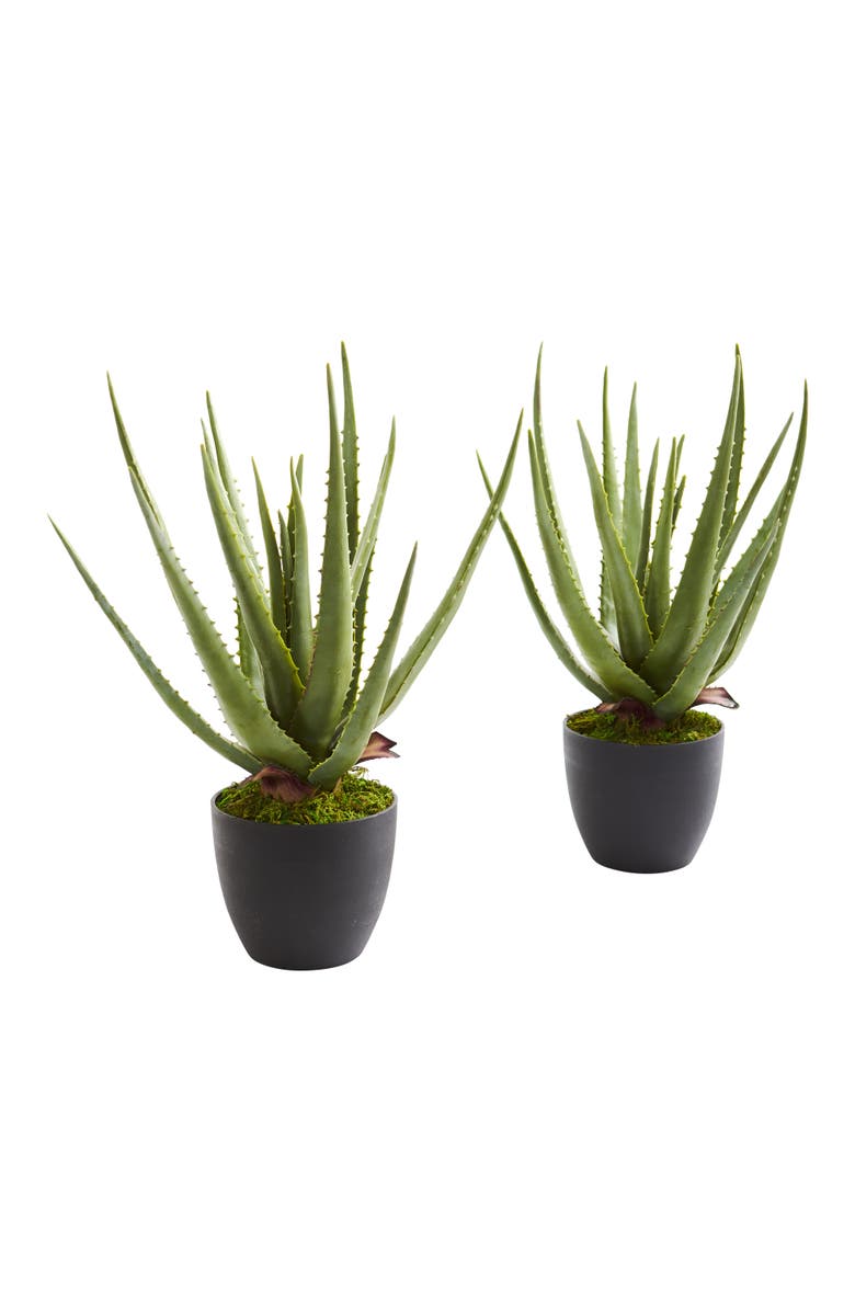 NEARLY NATURAL Aloe Artificial Plant, Main, color, Green